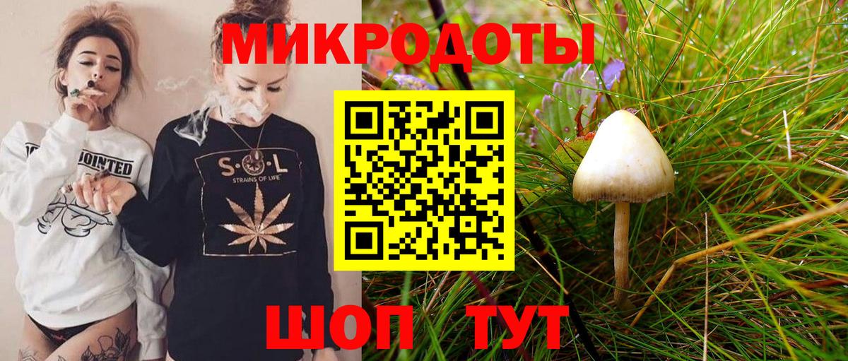 Псилоцибиновые грибы Cubensis  где купить наркоту  Вход с VPN  Зеленогорск  Галлюциногенные грибы GOLDEN TEACHER 